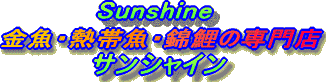 Ⴂ܂